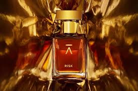 AZMAN RISK EDP