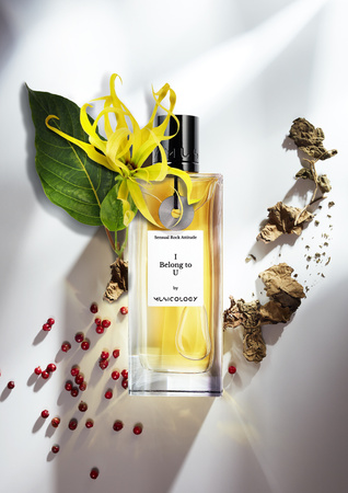 MUSICOLOGY I BELONG TO U EDP