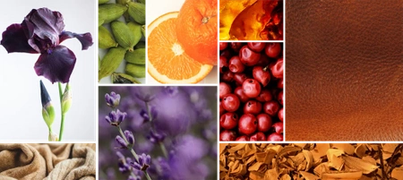 REINE DE SABA SAGESSE DE SALOMON