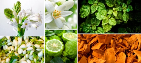 REINE DE SABA AKSOUM