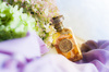 ANFAS WATAN EDP Perfumy niszowe