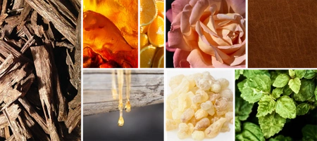 REINE DE SABA ENCENS SABA