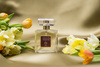 SENSE DUBAI JALAD Perfumy