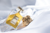 YAS AL MALAKI  EDP