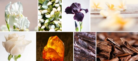 REINE DE SABA REINE MAKEDA