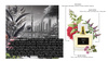 SENSE DUBAI 9 Perfumy
