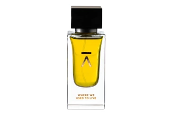 AZMAN WHERE WE USED TO LIVE EDP