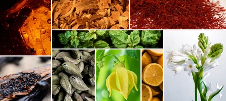 REINE DE SABA REINE DE MIDI