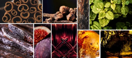 REINE DE SABA DIVINE TENTATION