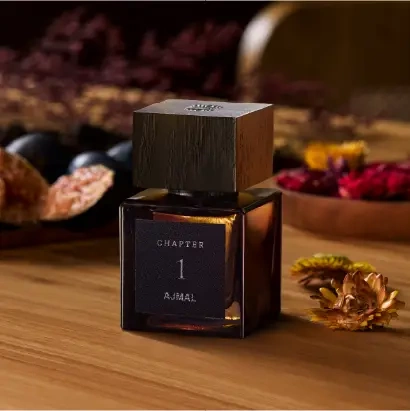 AJMAL Chapter 1 by Maxime Exler