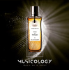 MUSICOLOGY CLOSE TO MIDNIGHT EDP